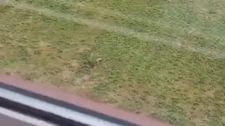Kicking off in Scotland