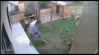 genius