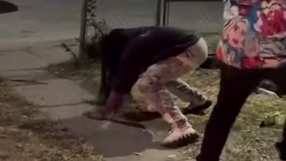 ko ninja