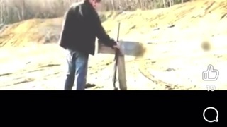 gun fools