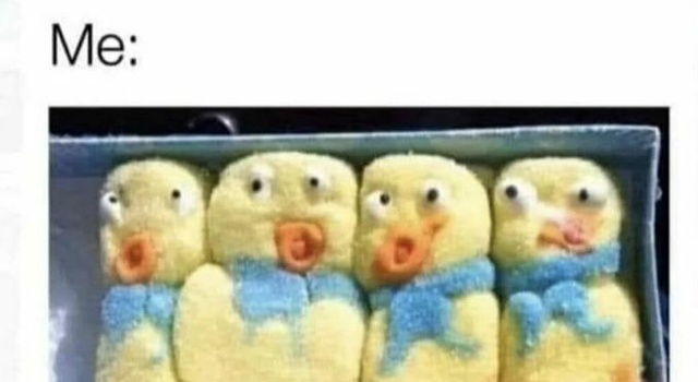 My Little Duck