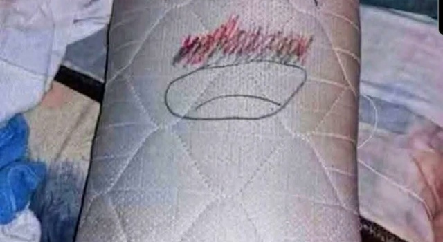 Oh Poor Wilson Pillow