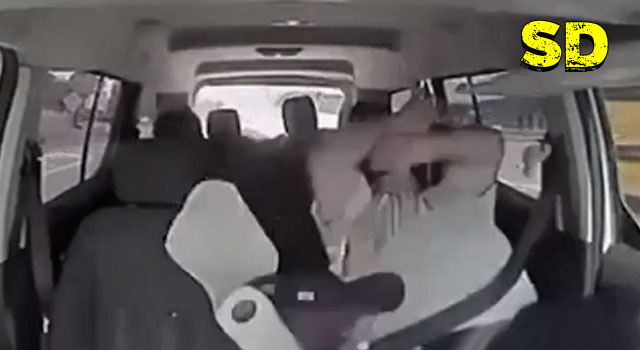 21 PEOPLE DEFINITELY HAVING A SHITTIER DAY THAN YOU