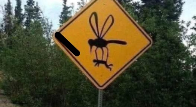 This Means Danger