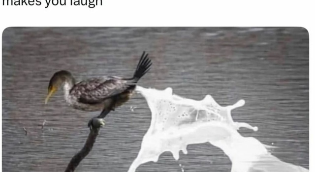 It's Dripping All Over