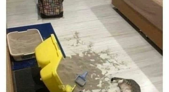 Just Play Dead