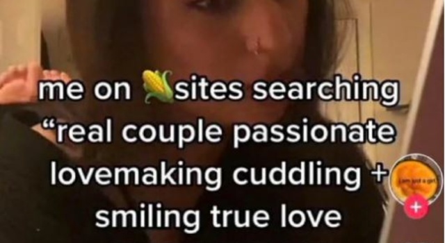 Searching For Quality Porn