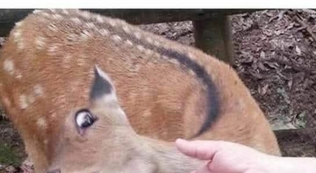 You Don't Fool Me