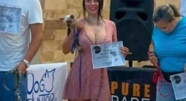 dogshow