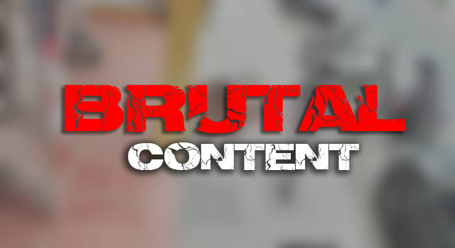 BRUTAL MASHUP MADNESS