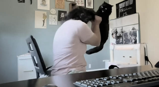 ANIMALS FUCKING HATE US: VOLUME 255