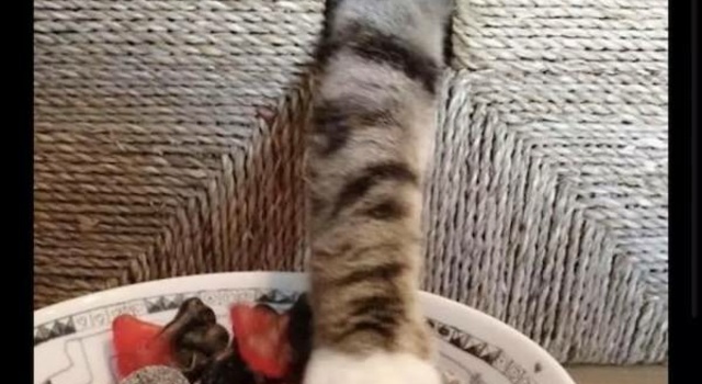Grab A Snack