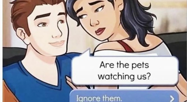 No The Poor Kitty