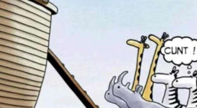 Poor Zebra