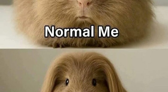 normal me
