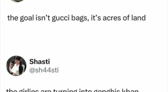 gucci baggs