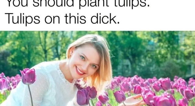 On This Dick