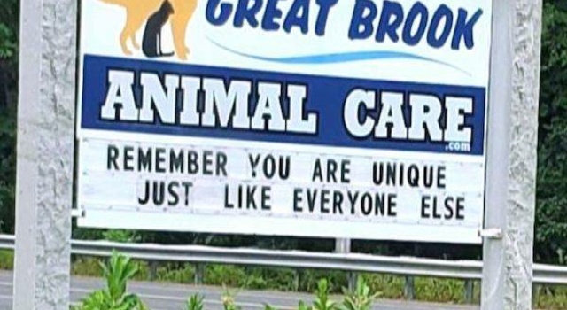 Like Everyone Else