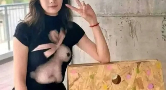 rabbit