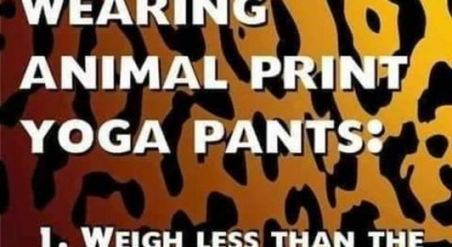 yoga pans