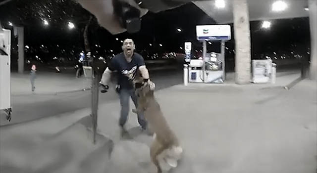 DEPUTY DOWG GETS  HIS BONE