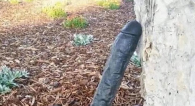 Can't Hold It