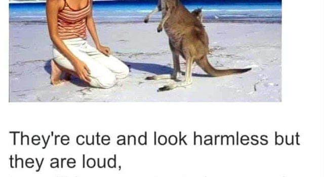 Kind Creatures