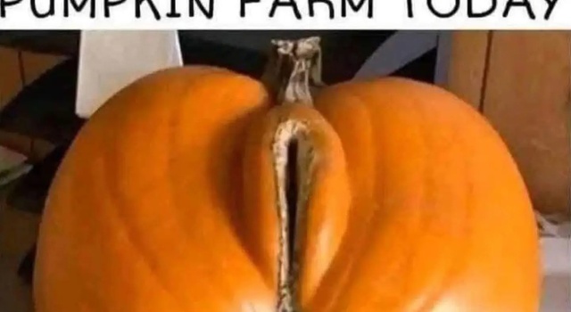 Best Pumpkin Ever