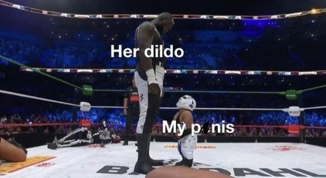 dildovs penis