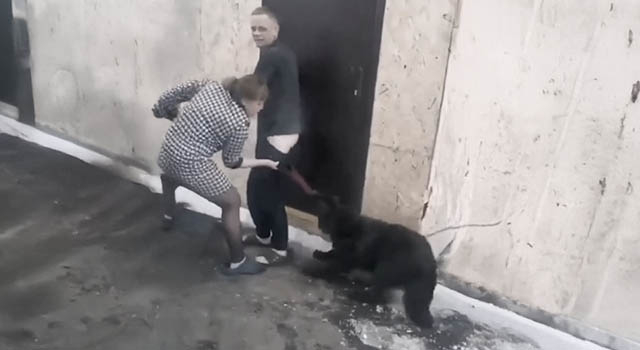 ANIMALS FUCKING HATE US: VOLUME 268