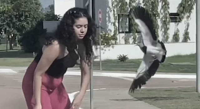 ANIMALS FUCKING HATE US: VOLUME 269