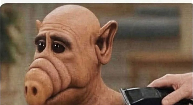 Poor Shaved Dick