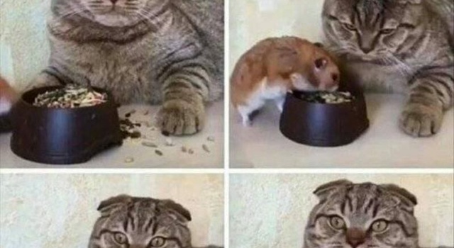 take a bite