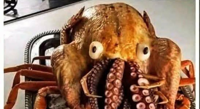 Is That A Turkepus