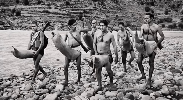 Iraqis`