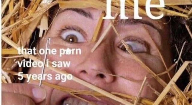 My Favorite Video