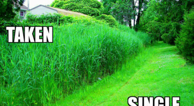taken/singel