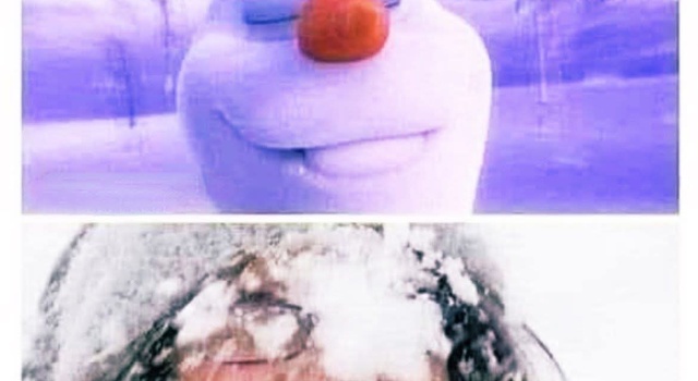 Just Let It Go