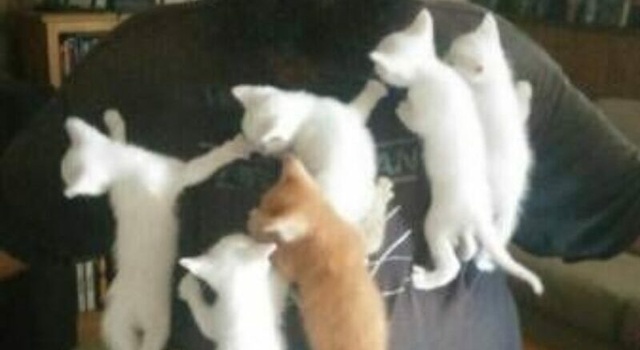 friend: you never get a pussy in your life