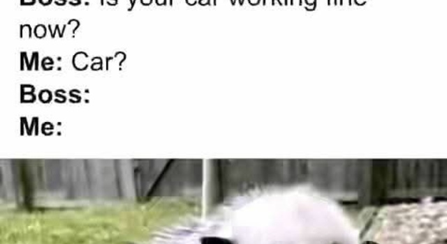 Sorry I Was Late