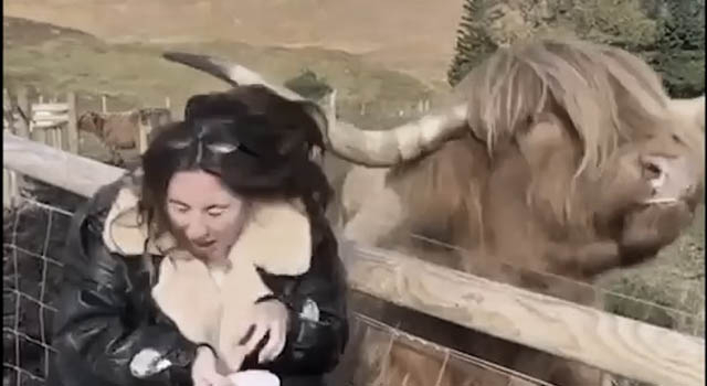 ANIMALS FUCKING HATE US