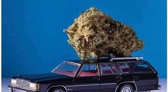 Got A New Tree