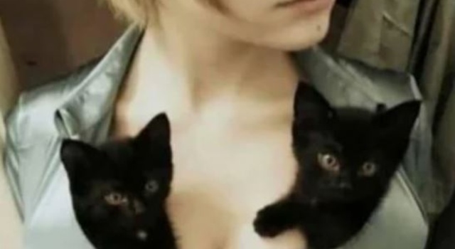 Kitty On My Titty