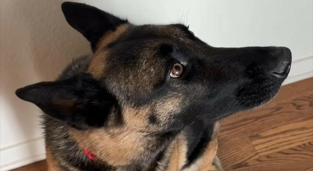 good girl