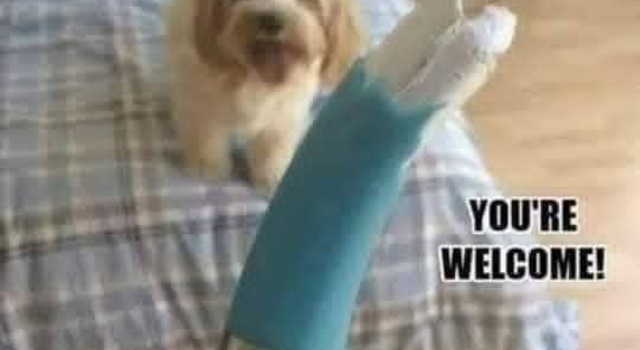 I Halped You