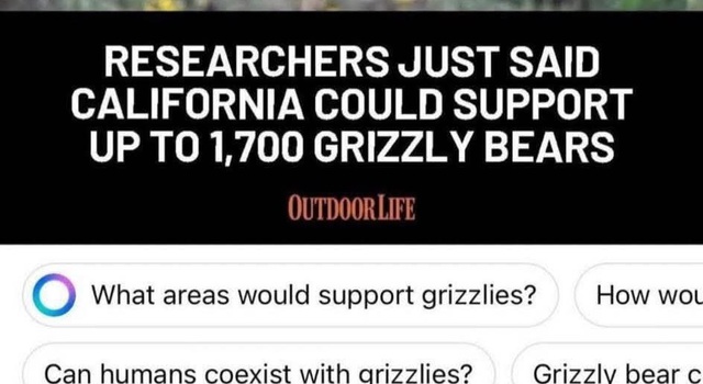 That Is Bold