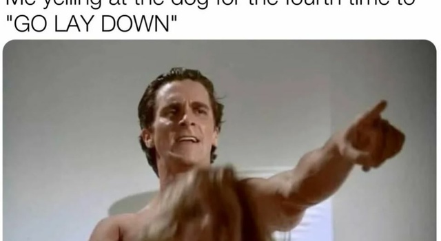 Sit Down