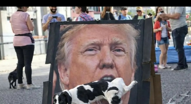 Trumps Favourite Drink