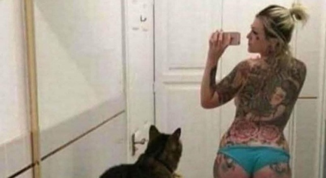 Bitch Where Is My Food