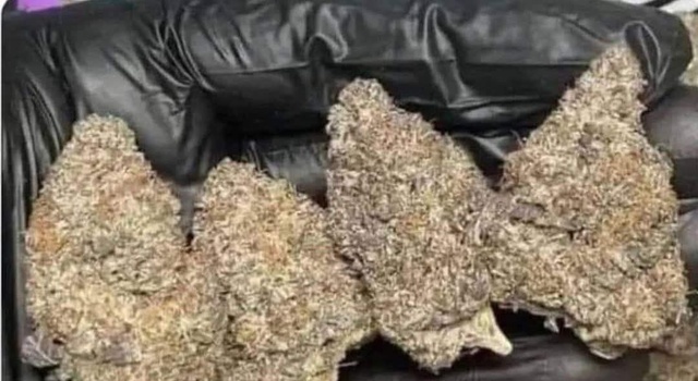 Weed on Couch